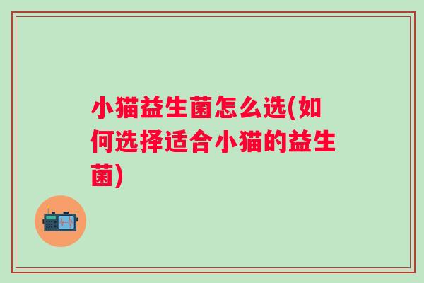 小猫益生菌怎么选(如何选择适合小猫的益生菌)