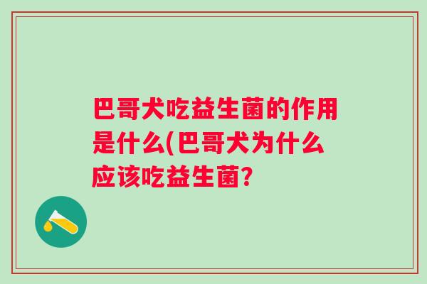 巴哥犬吃益生菌的作用是什么(巴哥犬为什么应该吃益生菌? 巴哥犬吃益生菌的作用是什么(巴哥犬为什么应该吃益生菌?