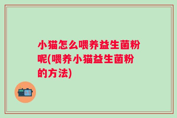 小猫怎么喂养益生菌粉呢(喂养小猫益生菌粉的方法)