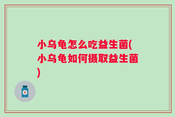 小乌龟怎么吃益生菌(小乌龟如何摄取益生菌) 小乌龟怎么吃益生菌(小乌龟如何摄取益生菌)