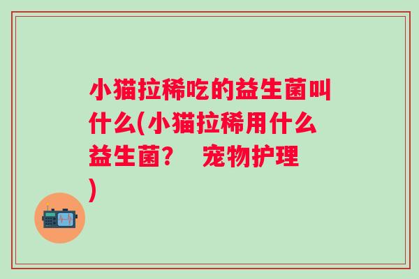 小猫拉稀吃的益生菌叫什么(小猫拉稀用什么益生菌? 宠物护理) 小猫拉稀吃的益生菌叫什么(小猫拉稀用什么益生菌? 宠物护理)