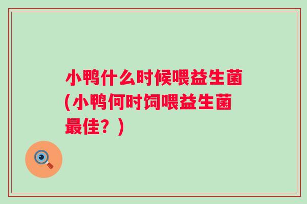 小鸭什么时候喂益生菌(小鸭何时饲喂益生菌佳？)