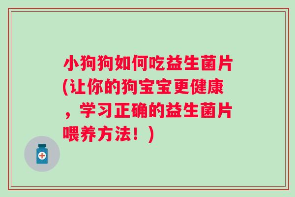 小狗狗如何吃益生菌片(让你的狗宝宝更健康，学习正确的益生菌片喂养方法！)