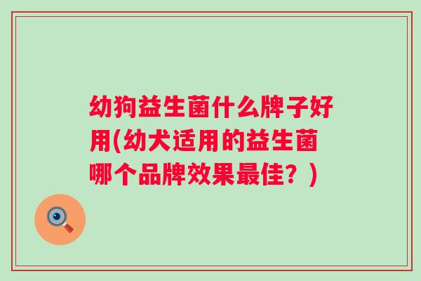 幼狗益生菌什么牌子好用(幼犬适用的益生菌哪个品牌效果佳？)
