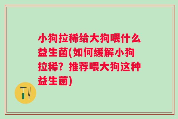 小狗拉稀给大狗喂什么益生菌(如何缓解小狗拉稀？推荐喂大狗这种益生菌)