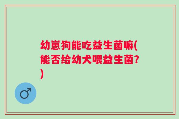 幼崽狗能吃益生菌嘛(能否给幼犬喂益生菌?) 幼崽狗能吃益生菌嘛(能否给幼犬喂益生菌?)