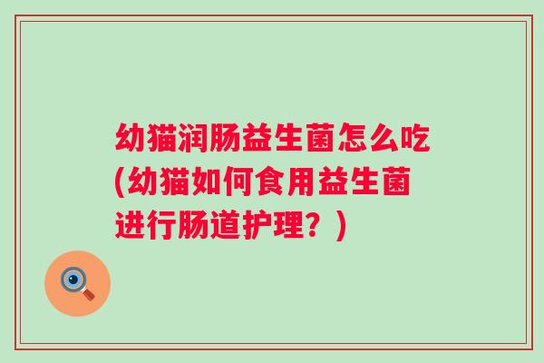 幼猫润肠益生菌怎么吃(幼猫如何食用益生菌进行肠道护理？)