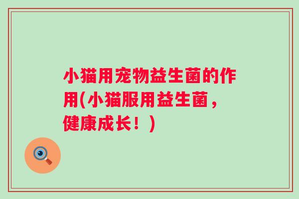 小猫用宠物益生菌的作用(小猫服用益生菌,健康成长!) 小猫用宠物益生菌的作用(小猫服用益生菌,健康成长!)