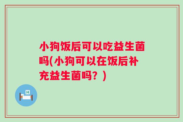小狗饭后可以吃益生菌吗(小狗可以在饭后补充益生菌吗？)