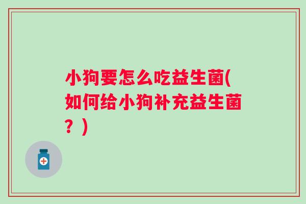 小狗要怎么吃益生菌(如何给小狗补充益生菌?) 小狗要怎么吃益生菌(如何给小狗补充益生菌?)