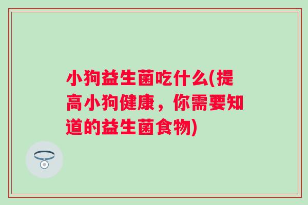小狗益生菌吃什么(提高小狗健康，你需要知道的益生菌食物)