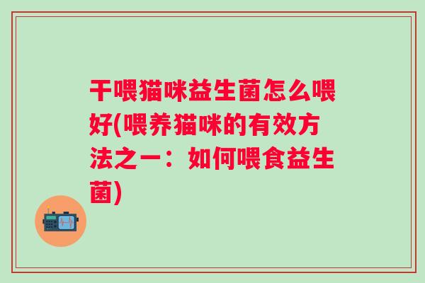 干喂猫咪益生菌怎么喂好(喂养猫咪的有效方法之一：如何喂食益生菌)