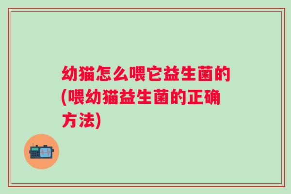 幼猫怎么喂它益生菌的(喂幼猫益生菌的正确方法)
