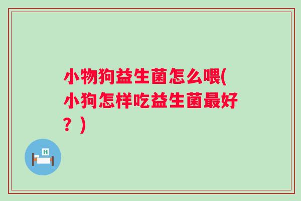 小物狗益生菌怎么喂(小狗怎样吃益生菌好?) 小物狗益生菌怎么喂(小狗怎样吃益生菌好?)