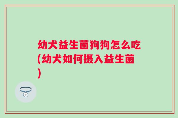 幼犬益生菌狗狗怎么吃(幼犬如何摄入益生菌) 幼犬益生菌狗狗怎么吃(幼犬如何摄入益生菌)