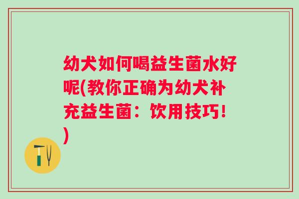 幼犬如何喝益生菌水好呢(教你正确为幼犬补充益生菌：饮用技巧！)