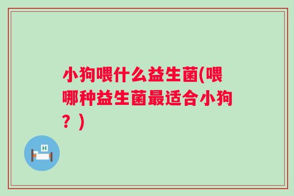 小狗喂什么益生菌(喂哪种益生菌适合小狗?) 小狗喂什么益生菌(喂哪种益生菌适合小狗?)