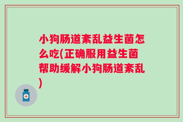 小狗肠道紊乱益生菌怎么吃(正确服用益生菌帮助缓解小狗肠道紊乱) 小狗肠道紊乱益生菌怎么吃(正确服用益生菌帮助缓解小狗肠道紊乱)