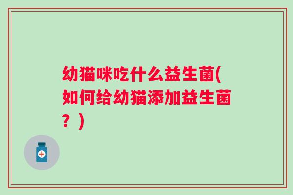 幼猫咪吃什么益生菌(如何给幼猫添加益生菌?) 幼猫咪吃什么益生菌(如何给幼猫添加益生菌?)