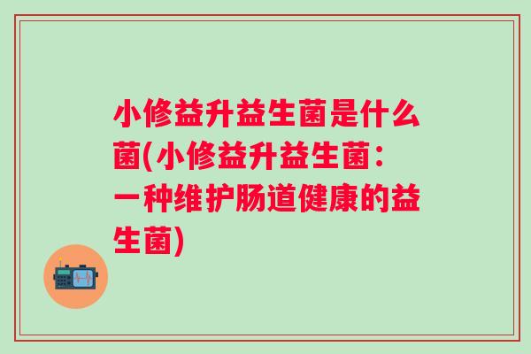 小修益升益生菌是什么菌(小修益升益生菌:一种维护肠道健康的益生菌) 小修益升益生菌是什么菌(小修益升益生菌:一种维护肠道健康的益生菌)