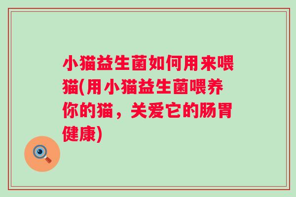 小猫益生菌如何用来喂猫(用小猫益生菌喂养你的猫,关爱它的肠胃健康) 小猫益生菌如何用来喂猫(用小猫益生菌喂养你的猫,关爱它的肠胃健康)