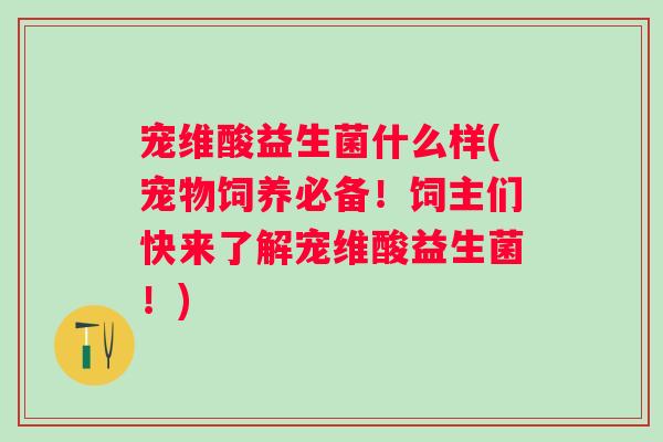 宠维酸益生菌什么样(宠物饲养必备！饲主们快来了解宠维酸益生菌！)
