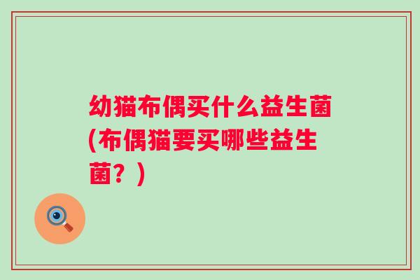 幼猫布偶买什么益生菌(布偶猫要买哪些益生菌？)