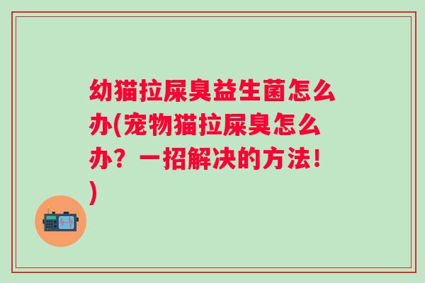 幼猫拉屎臭益生菌怎么办(宠物猫拉屎臭怎么办？一招解决的方法！)