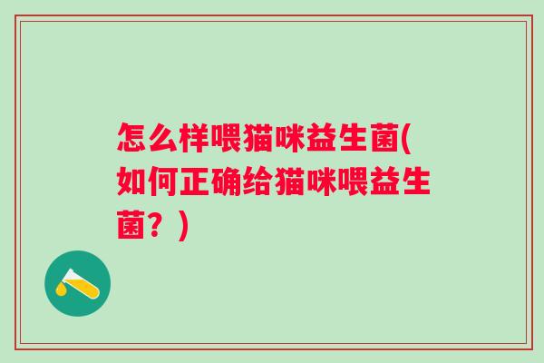 怎么样喂猫咪益生菌(如何正确给猫咪喂益生菌？)