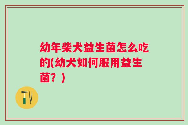 幼年柴犬益生菌怎么吃的(幼犬如何服用益生菌?) 幼年柴犬益生菌怎么吃的(幼犬如何服用益生菌?)