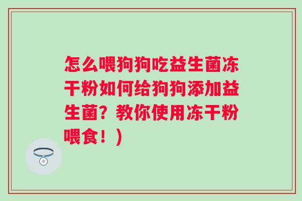 怎么喂狗狗吃益生菌冻干粉如何给狗狗添加益生菌？教你使用冻干粉喂食！)
