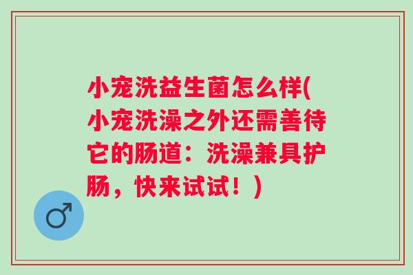小宠洗益生菌怎么样(小宠洗澡之外还需善待它的肠道:洗澡兼具护肠,快来试试!) 小宠洗益生菌怎么样(小宠洗澡之外还需善待它的肠道:洗澡兼具护肠,快来试试!)