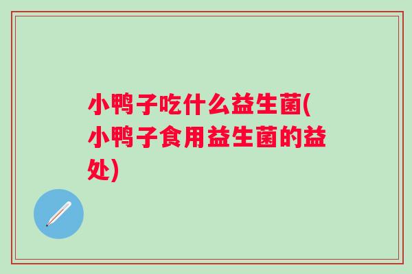 小鸭子吃什么益生菌(小鸭子食用益生菌的益处) 小鸭子吃什么益生菌(小鸭子食用益生菌的益处)