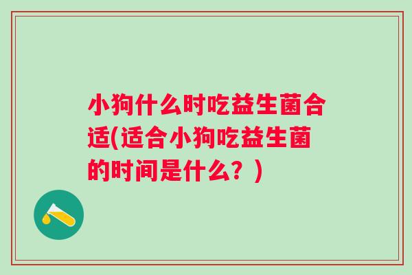 小狗什么时吃益生菌合适(适合小狗吃益生菌的时间是什么？)