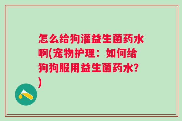 怎么给狗灌益生菌药水啊(宠物护理：如何给狗狗服用益生菌药水？)