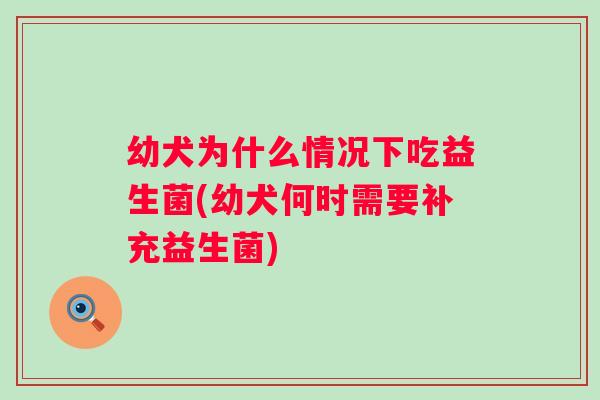 幼犬为什么情况下吃益生菌(幼犬何时需要补充益生菌) 幼犬为什么情况下吃益生菌(幼犬何时需要补充益生菌)