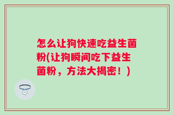 怎么让狗快速吃益生菌粉(让狗瞬间吃下益生菌粉，方法大揭密！)