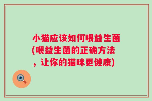 小猫应该如何喂益生菌(喂益生菌的正确方法，让你的猫咪更健康)