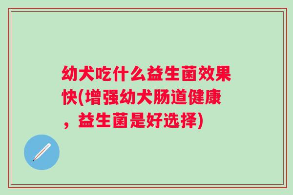 幼犬吃什么益生菌效果快(增强幼犬肠道健康,益生菌是好选择) 幼犬吃什么益生菌效果快(增强幼犬肠道健康,益生菌是好选择)