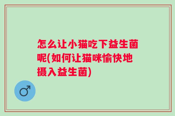 怎么让小猫吃下益生菌呢(如何让猫咪愉快地摄入益生菌)
