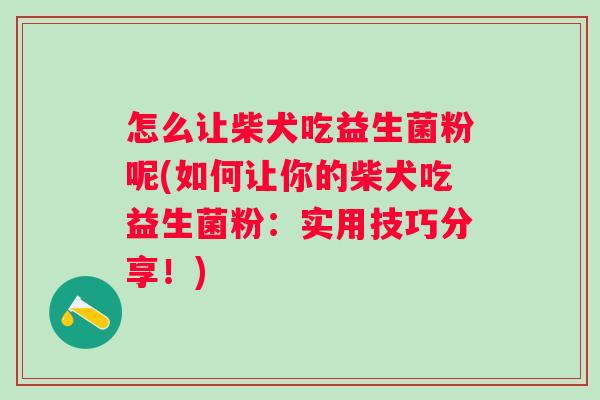 怎么让柴犬吃益生菌粉呢(如何让你的柴犬吃益生菌粉：实用技巧分享！)