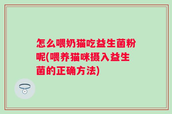 怎么喂奶猫吃益生菌粉呢(喂养猫咪摄入益生菌的正确方法) 怎么喂奶猫吃益生菌粉呢(喂养猫咪摄入益生菌的正确方法)