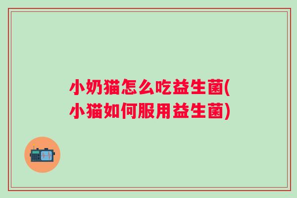 小奶猫怎么吃益生菌(小猫如何服用益生菌)