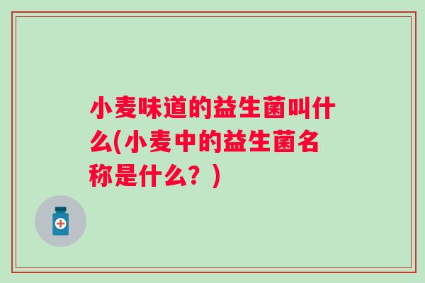 小麦味道的益生菌叫什么(小麦中的益生菌名称是什么？)
