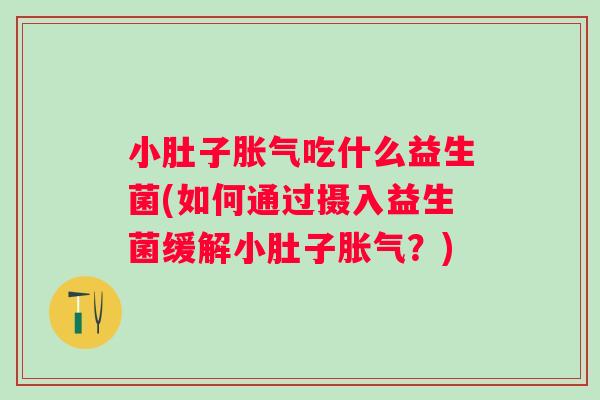小肚子吃什么益生菌(如何通过摄入益生菌缓解小肚子？)