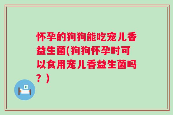 怀孕的狗狗能吃宠儿香益生菌(狗狗怀孕时可以食用宠儿香益生菌吗?) 怀孕的狗狗能吃宠儿香益生菌(狗狗怀孕时可以食用宠儿香益生菌吗?)