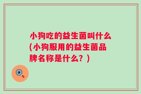 小狗吃的益生菌叫什么(小狗服用的益生菌品牌名称是什么?) 小狗吃的益生菌叫什么(小狗服用的益生菌品牌名称是什么?)