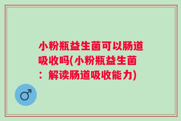 小粉瓶益生菌可以肠道吸收吗(小粉瓶益生菌：解读肠道吸收能力)