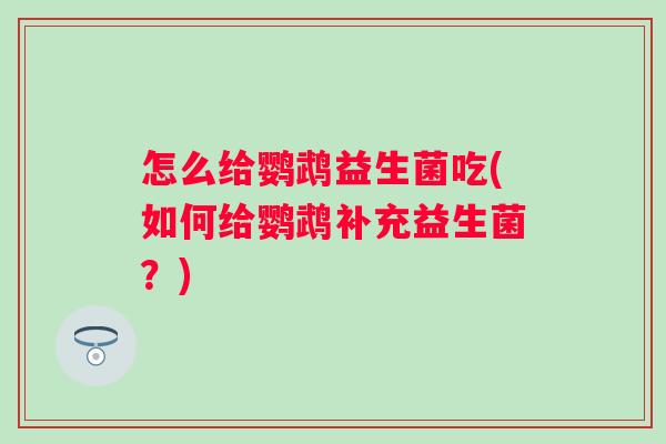 怎么给鹦鹉益生菌吃(如何给鹦鹉补充益生菌?) 怎么给鹦鹉益生菌吃(如何给鹦鹉补充益生菌?)