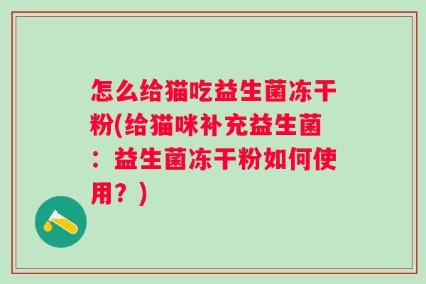 怎么给猫吃益生菌冻干粉(给猫咪补充益生菌：益生菌冻干粉如何使用？)